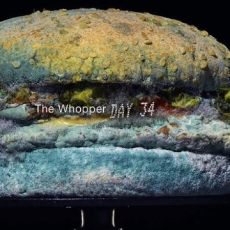 Whopper schimmelburger