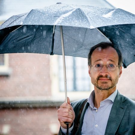 Wiebes overnames bedrijven toetsing