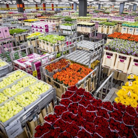Bloemen veiling doordraaien coronacrisis tuinbouw