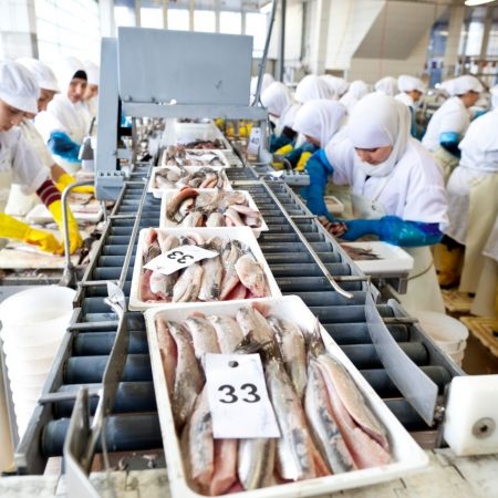 Haring visvangst visserij brexit