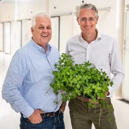 Plantlab tuinbouwrevolutie kweekt groenten gebouw stad