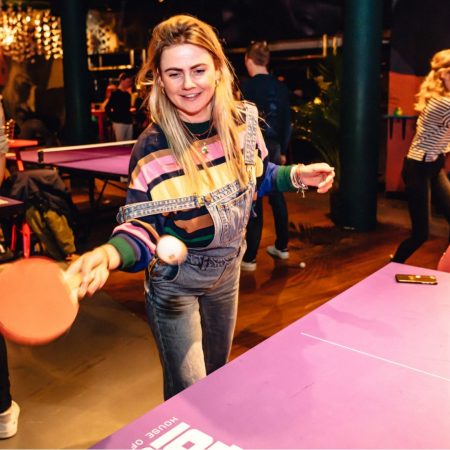 Pong house ping horeca tafeltennistafel