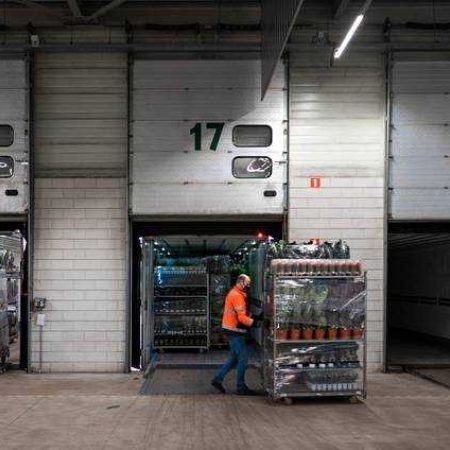 Royal lemkes planten export brexit