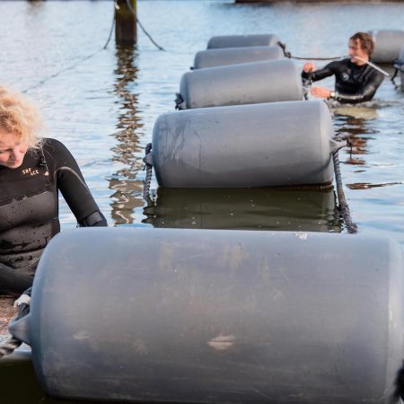 Seaweed farmers water
