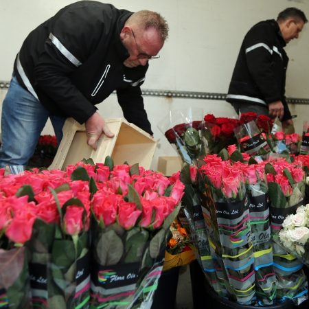 Sierteelt bloemen corona crisis