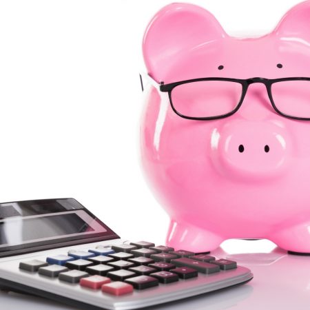 Spaarvarken financien geld advies rekenmachine