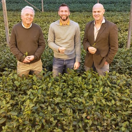 Tea duurzaam vegetarische slager thee