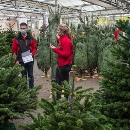 Tuincentrum kerstbomen klanten expliciet