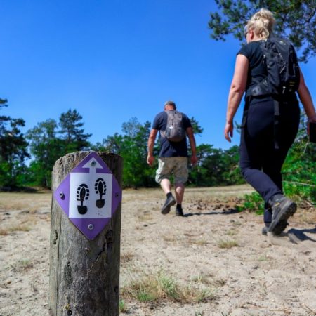 Vierdaagse corona wandelen gezond