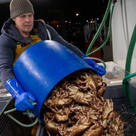 Visindustrie hard geraakt douane brexit