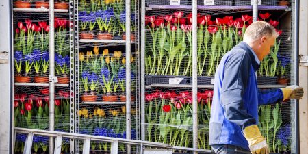 Brexit podcast Lennardvan Otterloo export bloemen