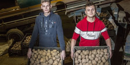 Aardappelen webshop maasdam