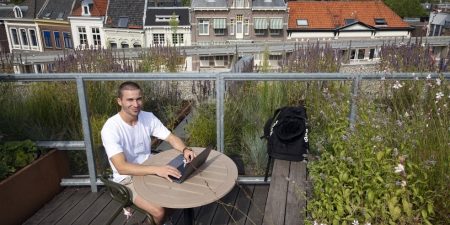 Daan scholten onderneming marketingbureau djinq