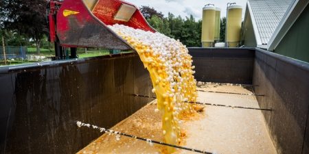 Pluimvee sector ondernemers kippen fipronil