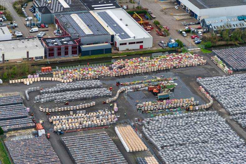 Bloemenveiling aalsmeer corona