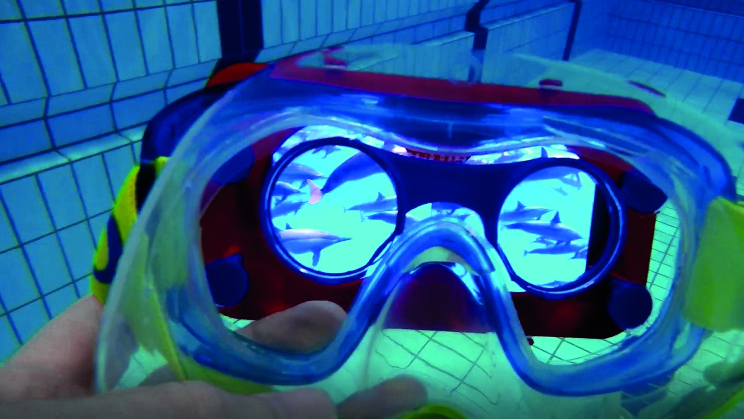 Dolfijnen virtual reality bril