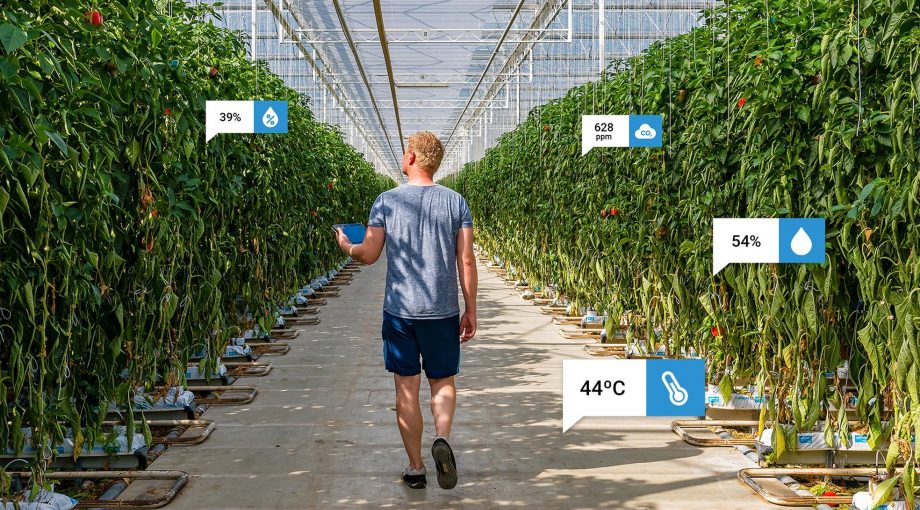 Teler data groei groente
