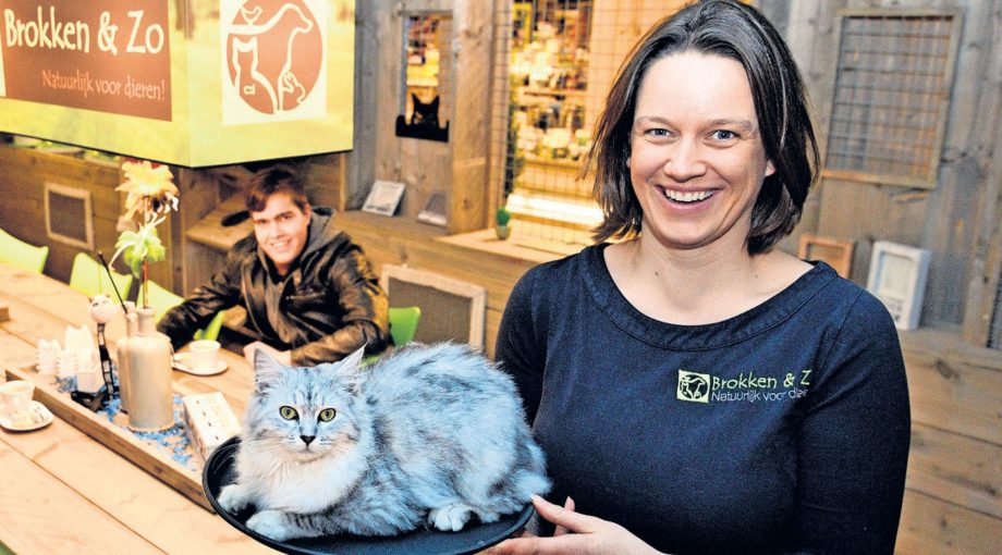 Brokkenenzo kattencafe gouda
