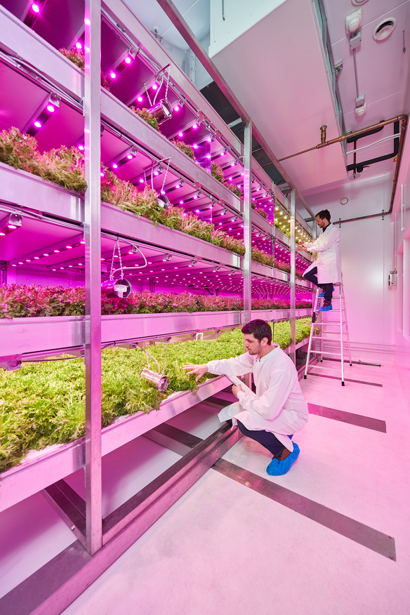 Grow Wise Center