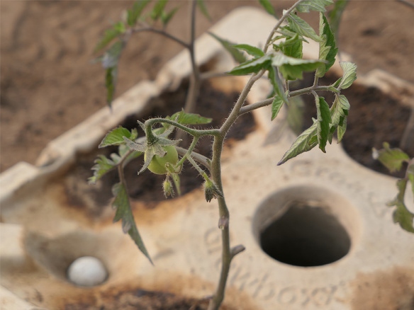 Winnaar MKB Innovatie Top 100 2018 Groasis duurzaamheid milieu growboxx steenbergen mexico boer droogte 2