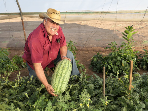 Winnaar MKB Innovatie Top 100 2018 Groasis duurzaamheid milieu growboxx steenbergen mexico boer droogte 5