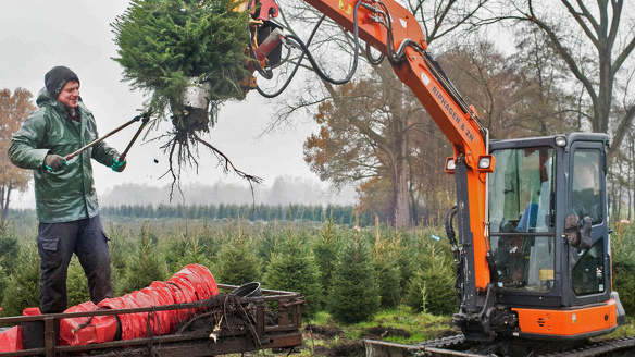 Kerstboom business 002 foto Simon Lenskens