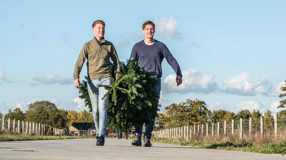 Online kerstbomenhandel verkoop tieners ondernemers kerst kerstboom leverancier 1