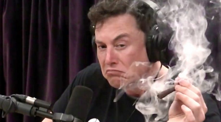 Elon musk 9