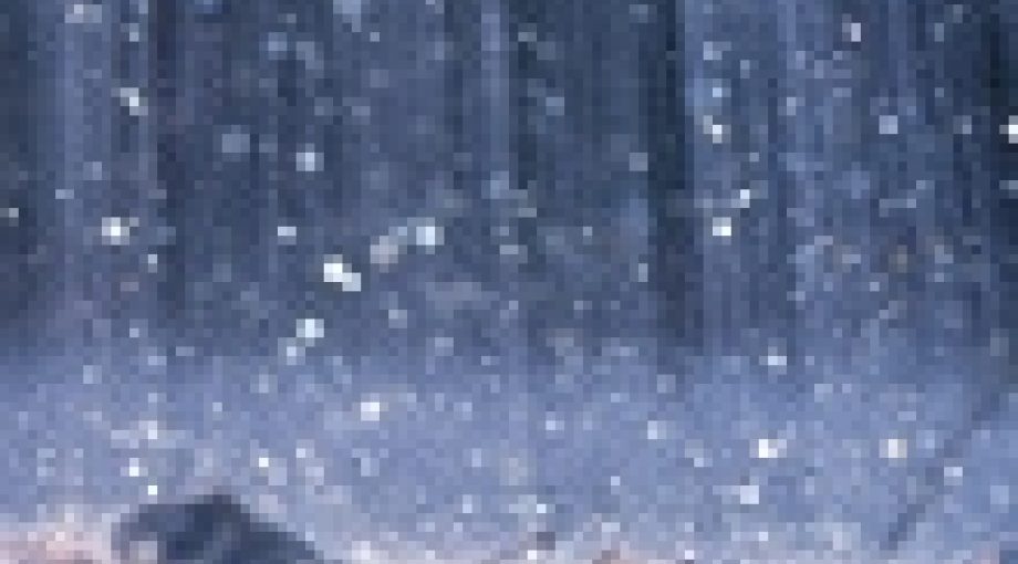 Regen Thinkstock
