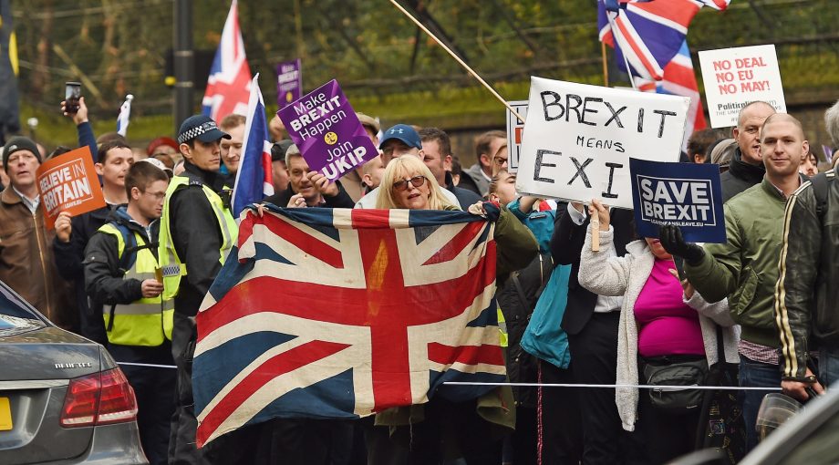 ANP brexit