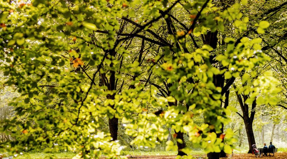 Amsterdamse Bos