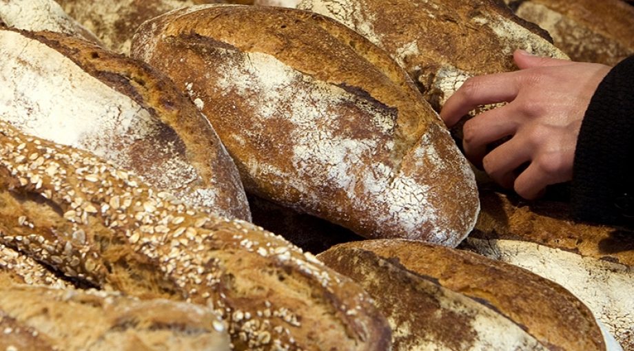 Biologisch brood