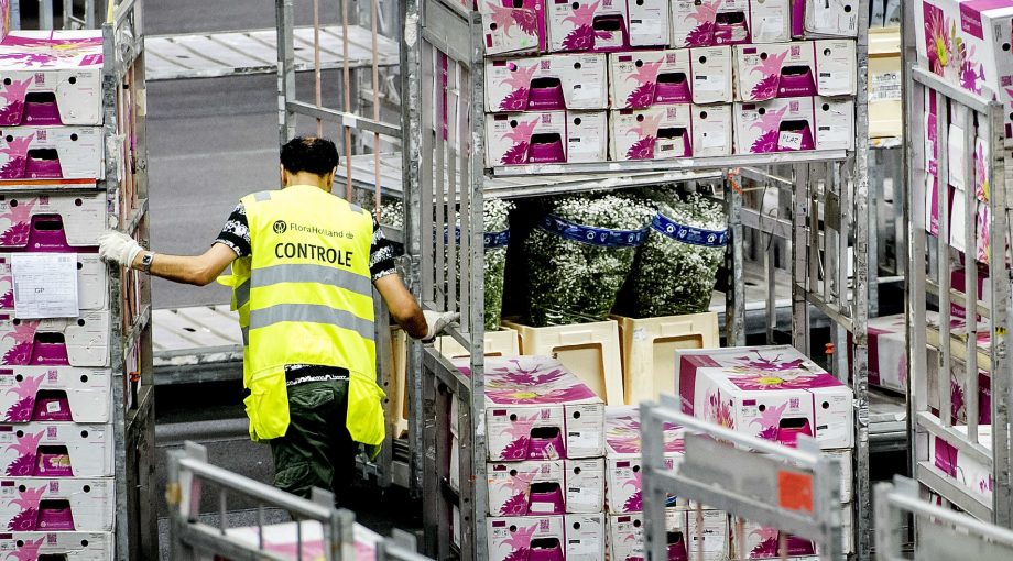 Bloemen export Turkije Nederland