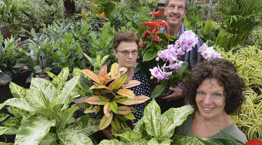 Bloemenzaak4
