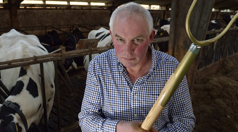 Boer Boerderij Groot