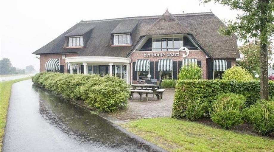 Bonte Paard Lenneke Lingmont