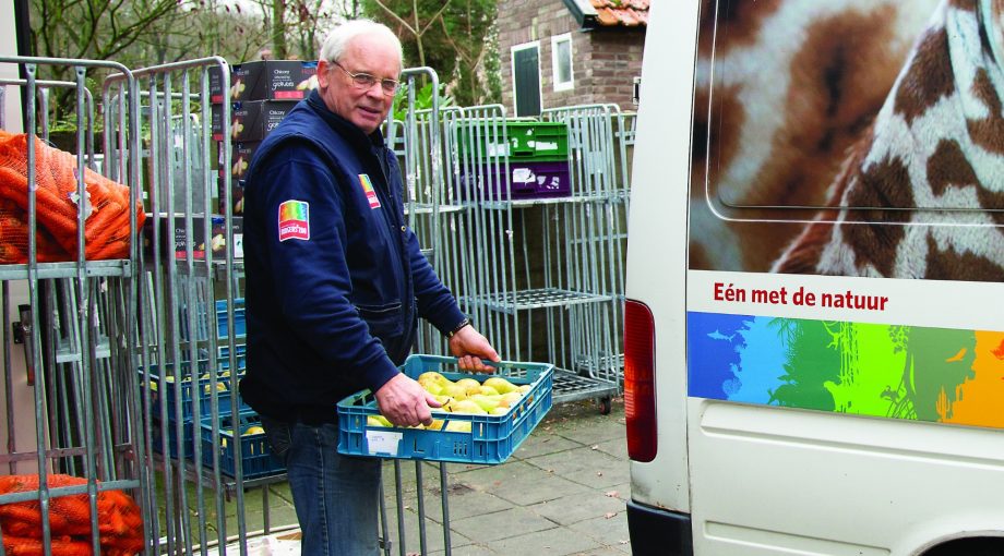 Burgers Zoo schommelende ijsbeer