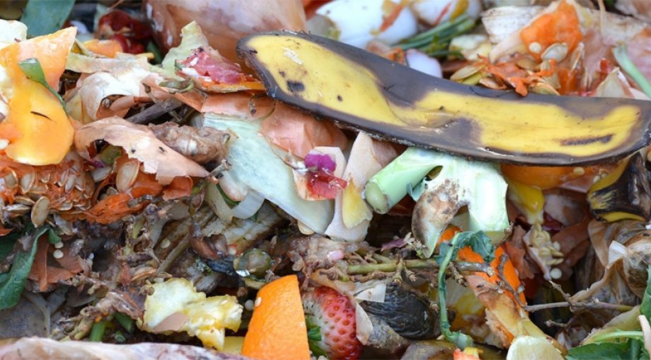 COMPOST pixabay
