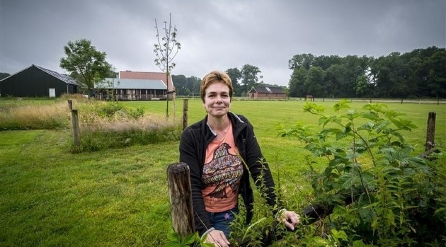 Camping t Scharrelhoes Reinier van Willigen