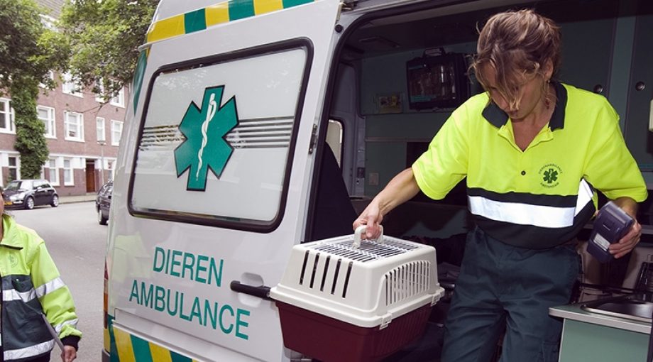 Dierenambulance Amsterdam