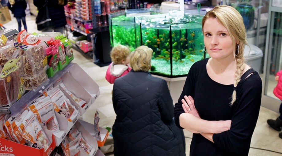 Dierenwinkel Omvallen