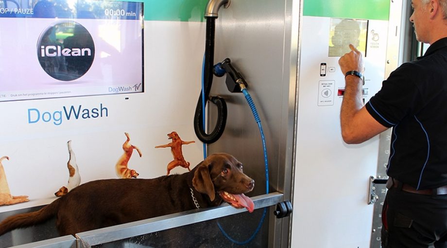 Dogwash
