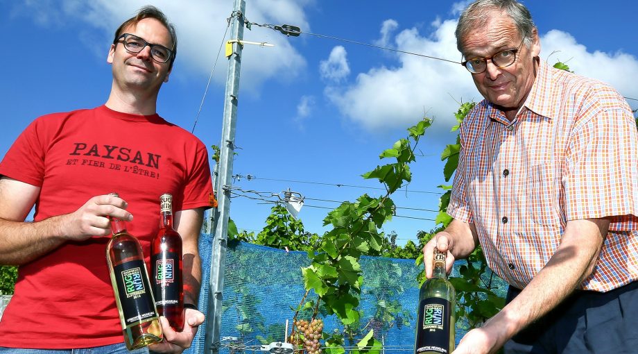 Domein tussen Rug en Rijn met prijswinnende wijnen van Hans en Simon Crone vader en zoon