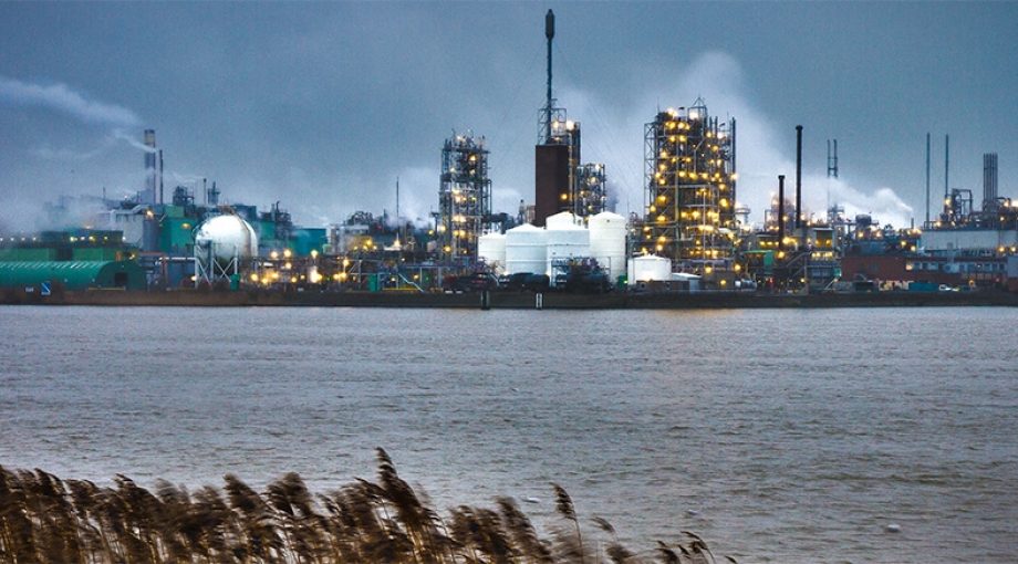 Dupont 1