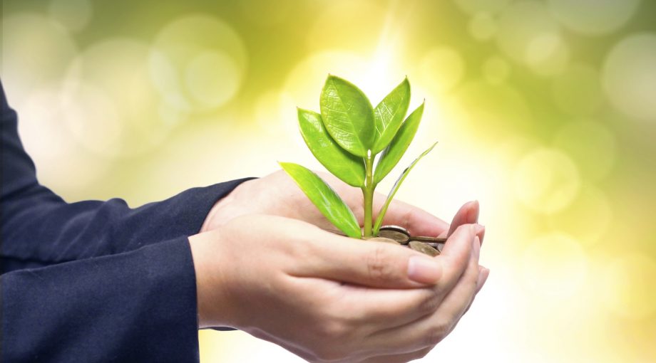 Duurzaamheid milieu milieubewust biologisch Thinkstock