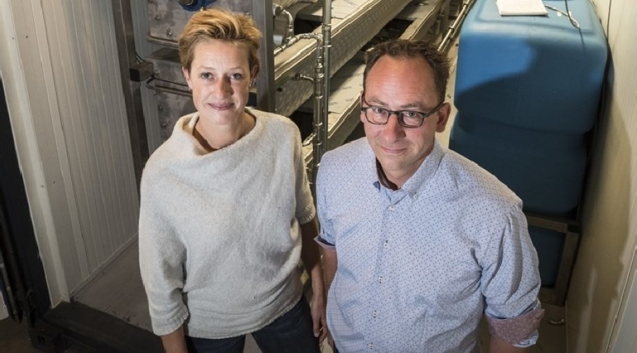 Elke Bart Wolkers Reiniervan Willigen