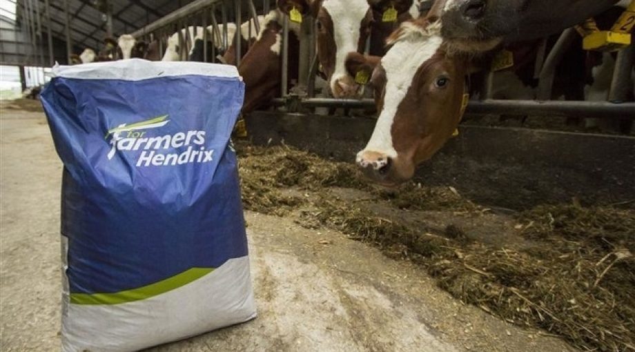 For Farmers Jeffrey Scholman