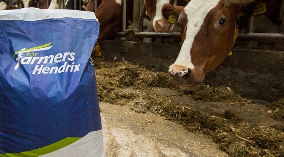 For Farmers Jeffrey Scholman