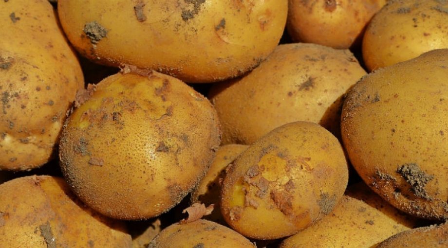 Geld terug aardappelboeren van Agrico