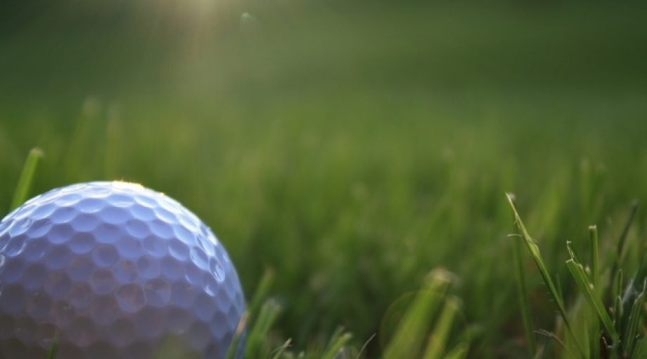 Golf stock 1